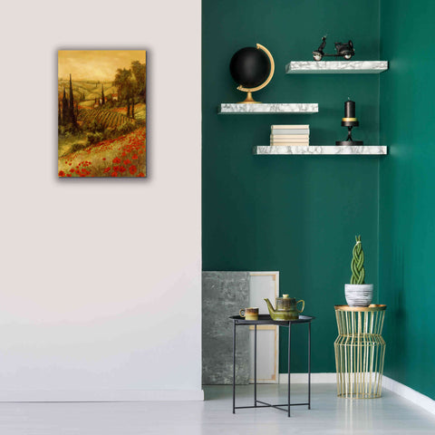 Image of 'Toscano Valley II' by Art Fronckowiak, Giclee Canvas Wall Art,18x26