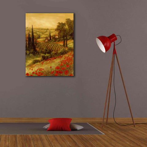 Image of 'Toscano Valley II' by Art Fronckowiak, Giclee Canvas Wall Art,26x34