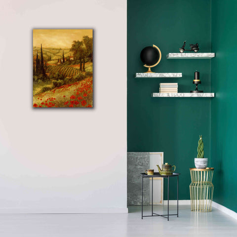 Image of 'Toscano Valley II' by Art Fronckowiak, Giclee Canvas Wall Art,26x34