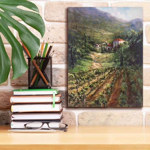 Image of 'Tuscany Vineyard' by Art Fronckowiak, Giclee Canvas Wall Art,12x16