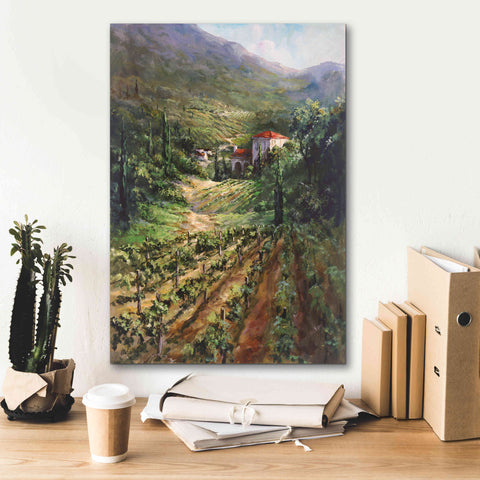 Image of 'Tuscany Vineyard' by Art Fronckowiak, Giclee Canvas Wall Art,18x26