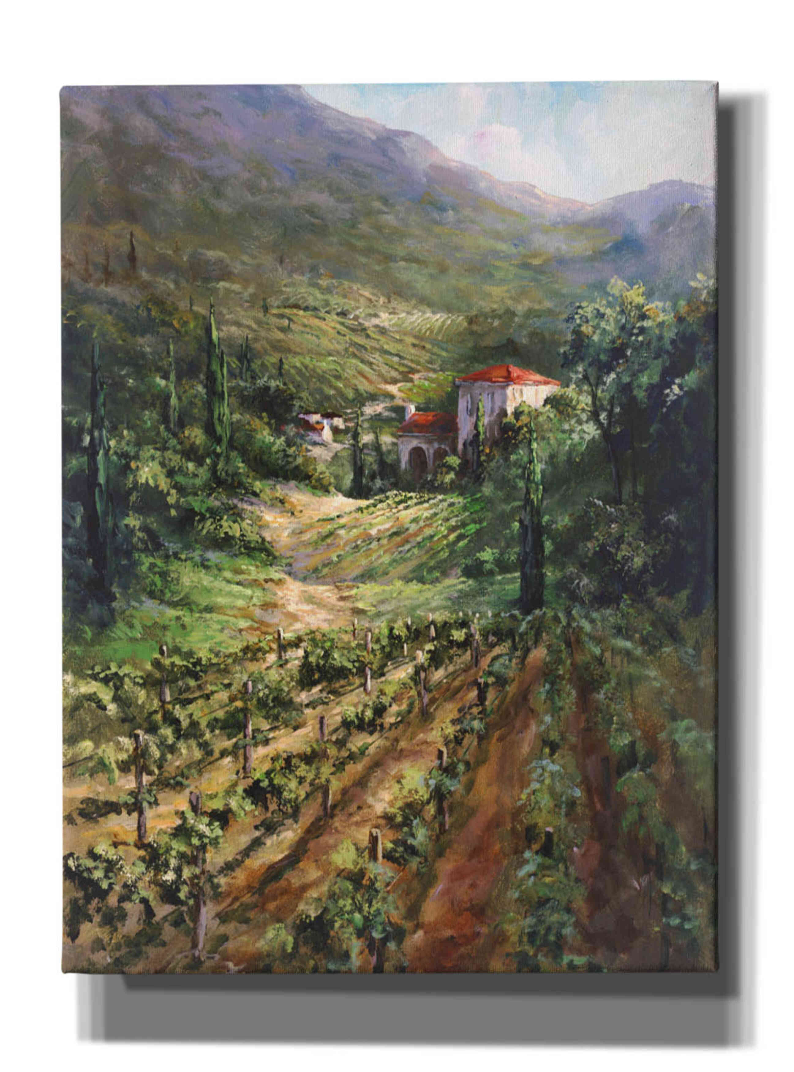 'Tuscany Vineyard' by Art Fronckowiak, Giclee Canvas Wall Art