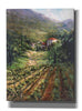 'Tuscany Vineyard' by Art Fronckowiak, Giclee Canvas Wall Art