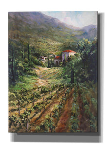 'Tuscany Vineyard' by Art Fronckowiak, Giclee Canvas Wall Art