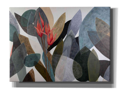 'Jardin Eterno 1' by Daniela Fedele, Giclee Canvas Wall Art