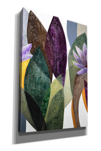 'Jardin Eterno 3' by Daniela Fedele, Giclee Canvas Wall Art