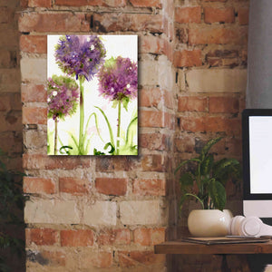 'Alliums' by Dawn Derman, Giclee Canvas Wall Art,12x16