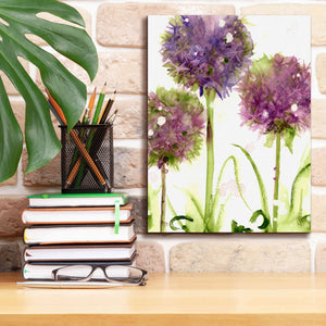 'Alliums' by Dawn Derman, Giclee Canvas Wall Art,12x16