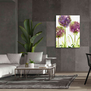 'Alliums' by Dawn Derman, Giclee Canvas Wall Art,40x54