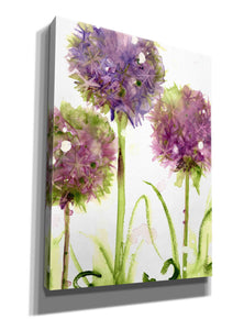 'Alliums' by Dawn Derman, Giclee Canvas Wall Art