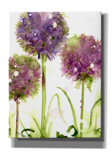 'Alliums' by Dawn Derman, Giclee Canvas Wall Art