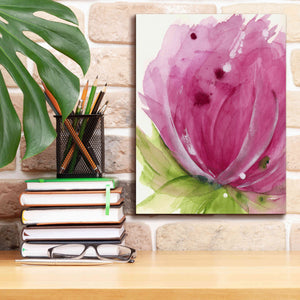 'Pink' by Dawn Derman, Giclee Canvas Wall Art,12x16