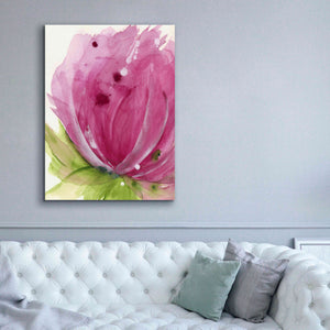 'Pink' by Dawn Derman, Giclee Canvas Wall Art,40x54