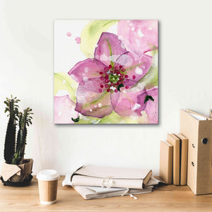 'Pink Flower in the Snow' by Dawn Derman, Giclee Canvas Wall Art,18x18