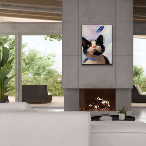 'Cat and Butterfly' by Diane Hoeptner, Giclee Canvas Wall Art,26x34