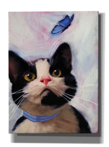 Image of 'Cat and Butterfly' by Diane Hoeptner, Giclee Canvas Wall Art