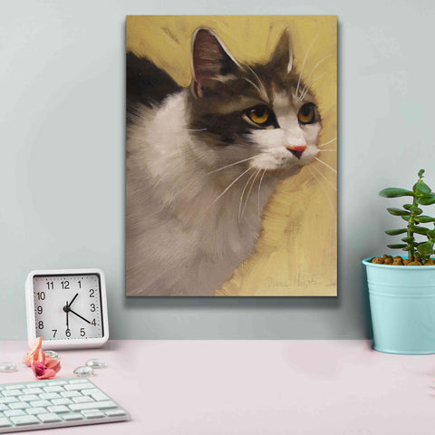 Image of 'Derby Cat' by Diane Hoeptner, Giclee Canvas Wall Art,12x16