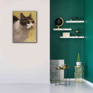 'Derby Cat' by Diane Hoeptner, Giclee Canvas Wall Art,26x34