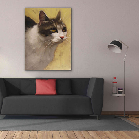 Image of 'Derby Cat' by Diane Hoeptner, Giclee Canvas Wall Art,40x54