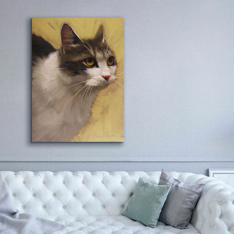 Image of 'Derby Cat' by Diane Hoeptner, Giclee Canvas Wall Art,40x54
