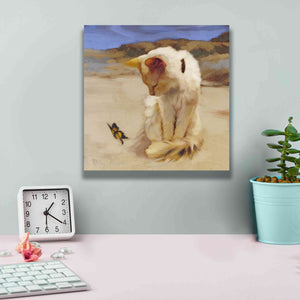 'Eye on Butterfly V' by Diane Hoeptner, Giclee Canvas Wall Art,12x12