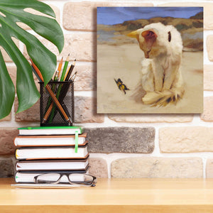 'Eye on Butterfly V' by Diane Hoeptner, Giclee Canvas Wall Art,12x12