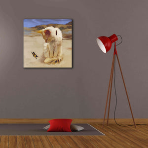 'Eye on Butterfly V' by Diane Hoeptner, Giclee Canvas Wall Art,26x26