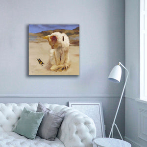 'Eye on Butterfly V' by Diane Hoeptner, Giclee Canvas Wall Art,37x37