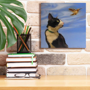 'Fly Away' by Diane Hoeptner, Giclee Canvas Wall Art,12x12