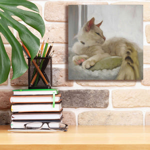 'Through the Window' by Diane Hoeptner, Giclee Canvas Wall Art,12x12