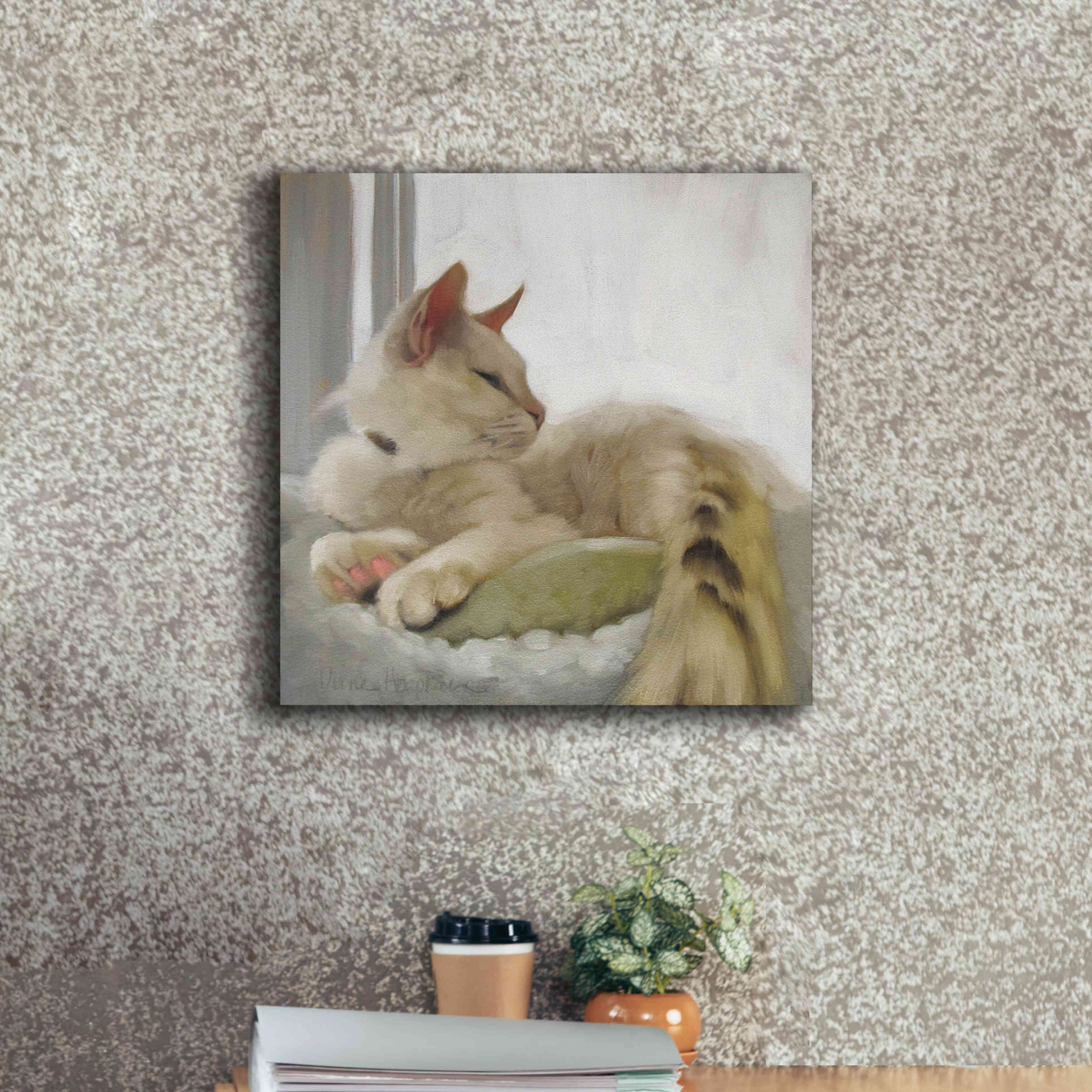 'Through the Window' by Diane Hoeptner, Giclee Canvas Wall Art,18x18