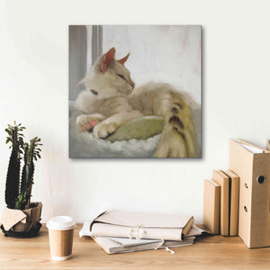 'Through the Window' by Diane Hoeptner, Giclee Canvas Wall Art,18x18