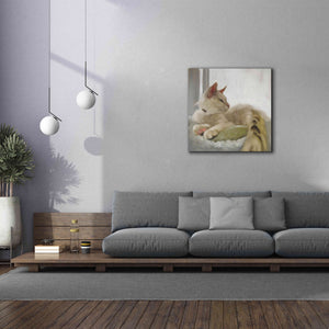 'Through the Window' by Diane Hoeptner, Giclee Canvas Wall Art,37x37