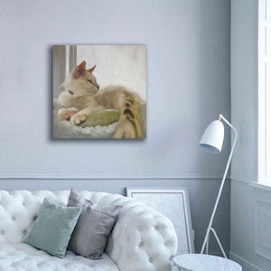 'Through the Window' by Diane Hoeptner, Giclee Canvas Wall Art,37x37
