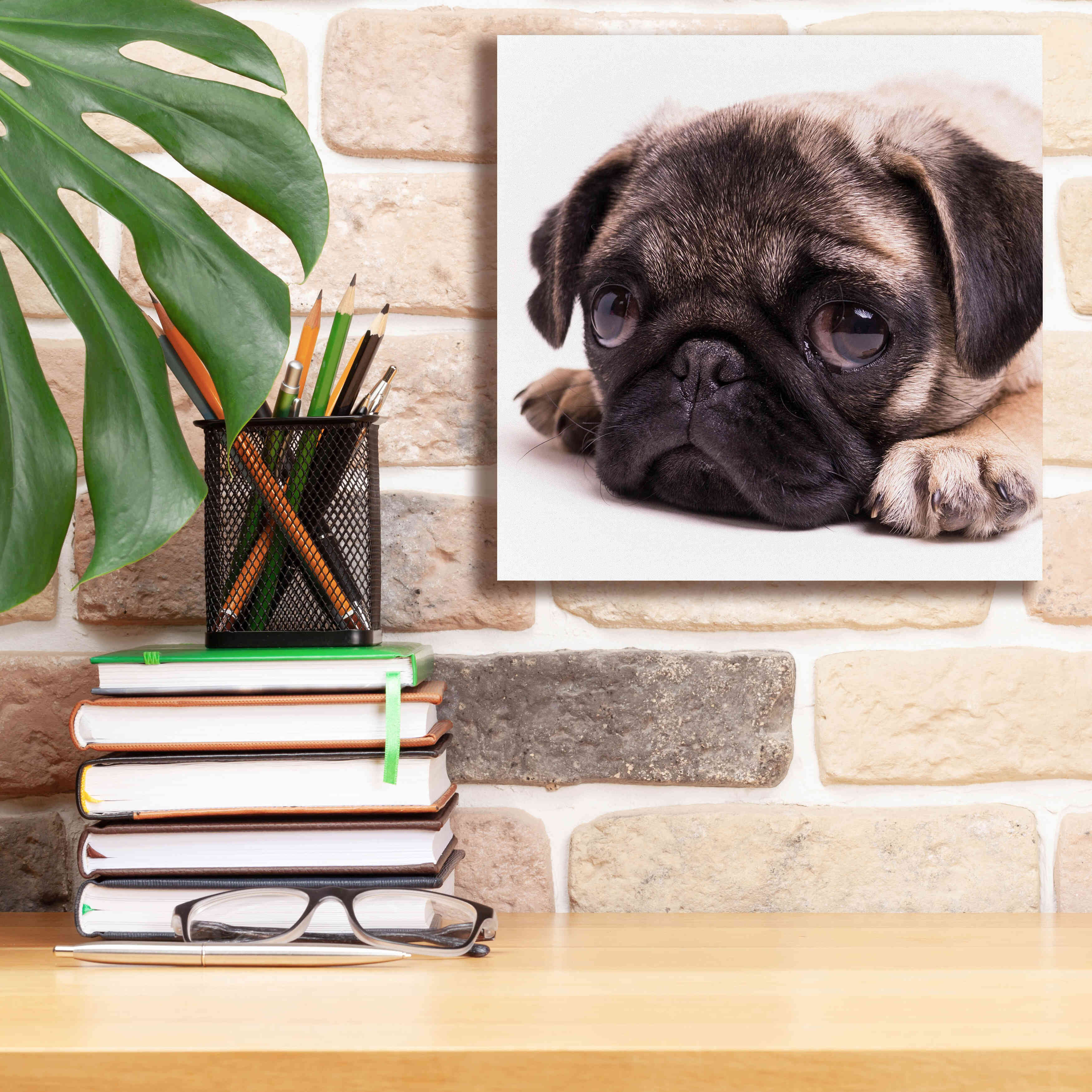 'Sad Sack Pug' by Edward M. Fielding, Giclee Canvas Wall Art,12x12