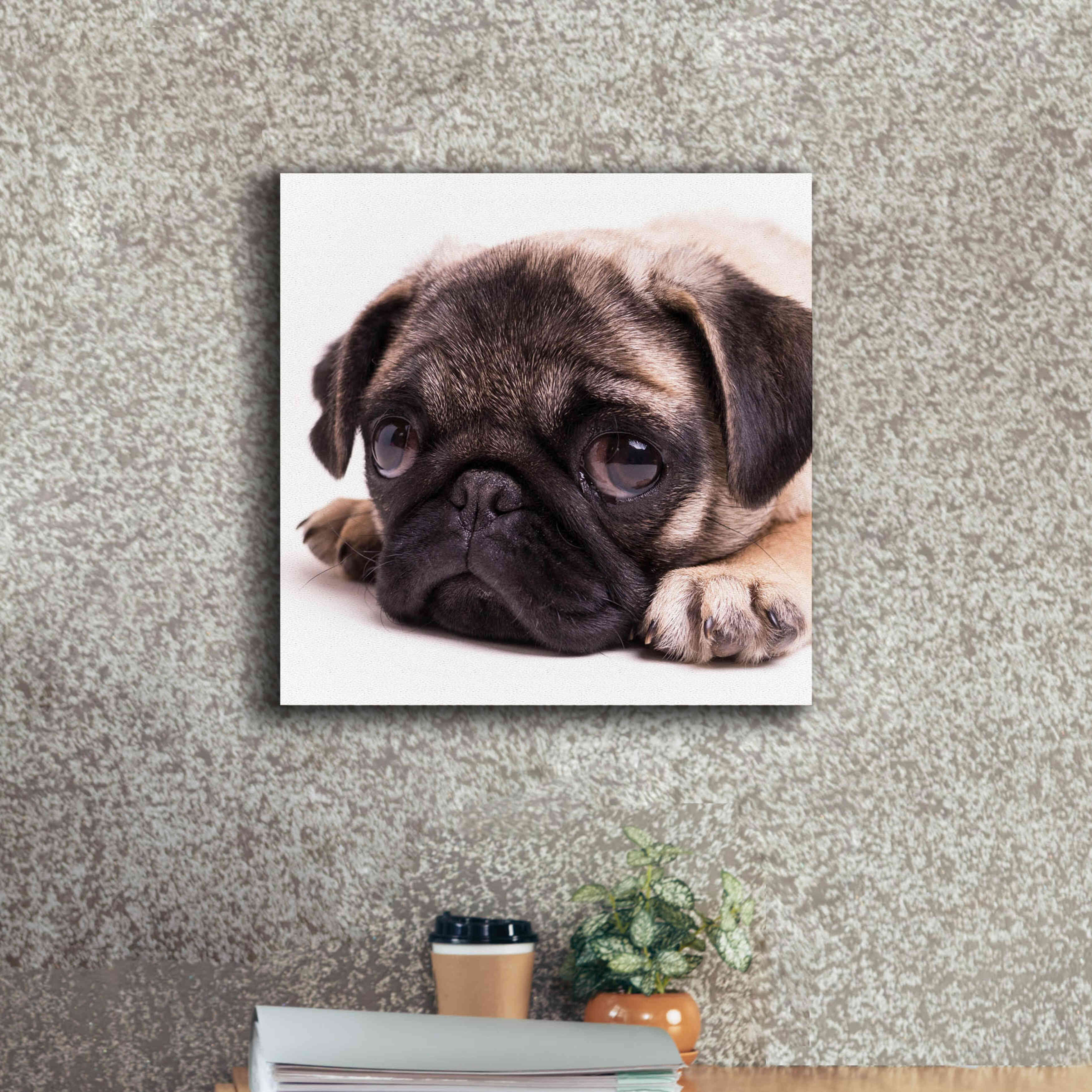 'Sad Sack Pug' by Edward M. Fielding, Giclee Canvas Wall Art,18x18