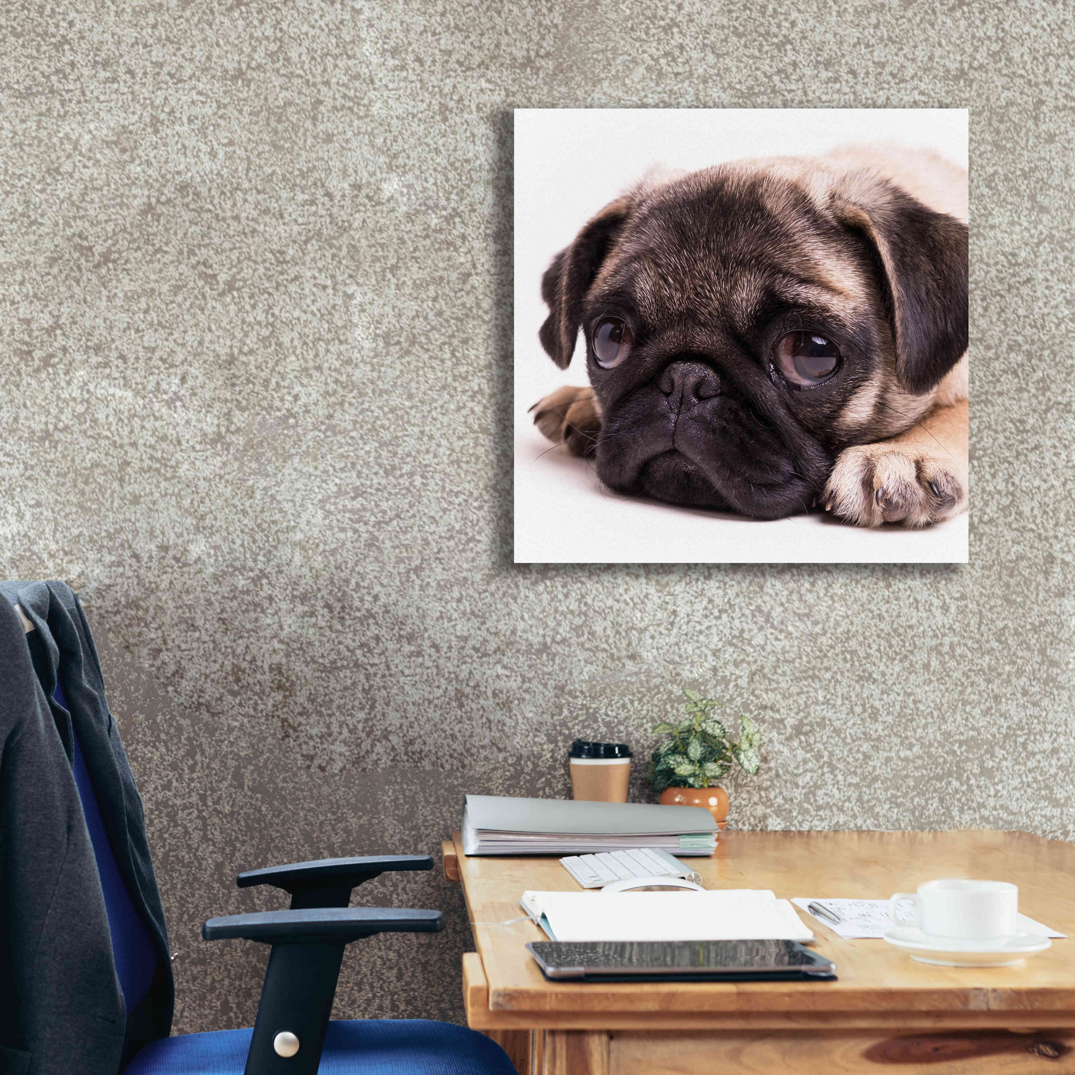 'Sad Sack Pug' by Edward M. Fielding, Giclee Canvas Wall Art,26x26