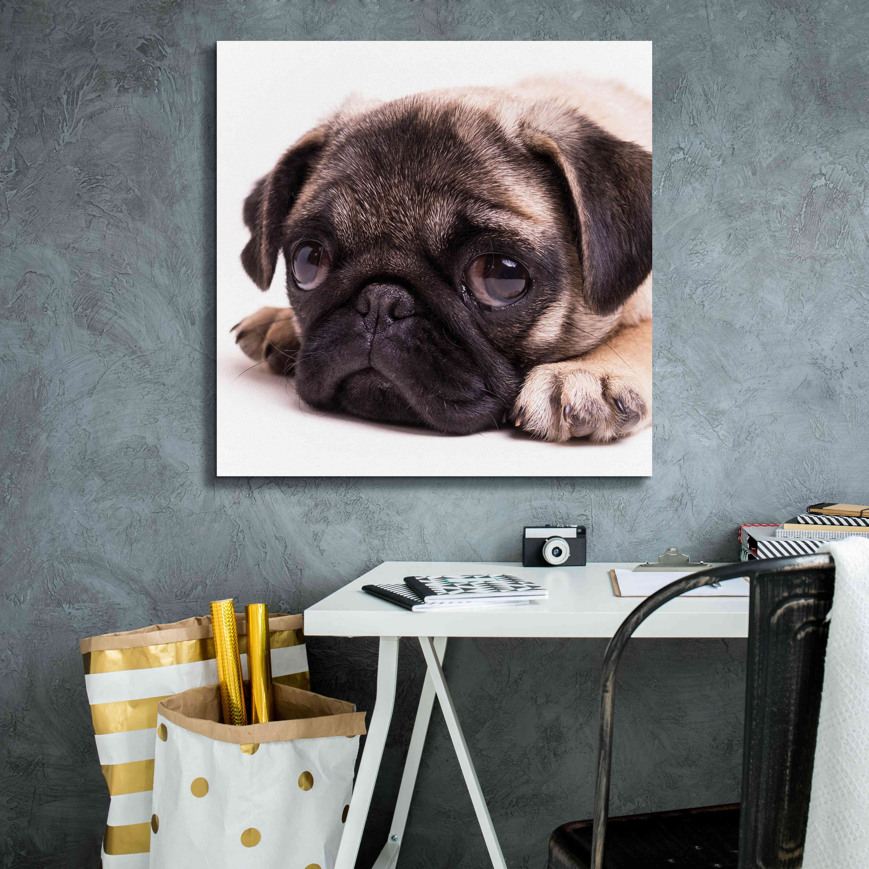 'Sad Sack Pug' by Edward M. Fielding, Giclee Canvas Wall Art,26x26