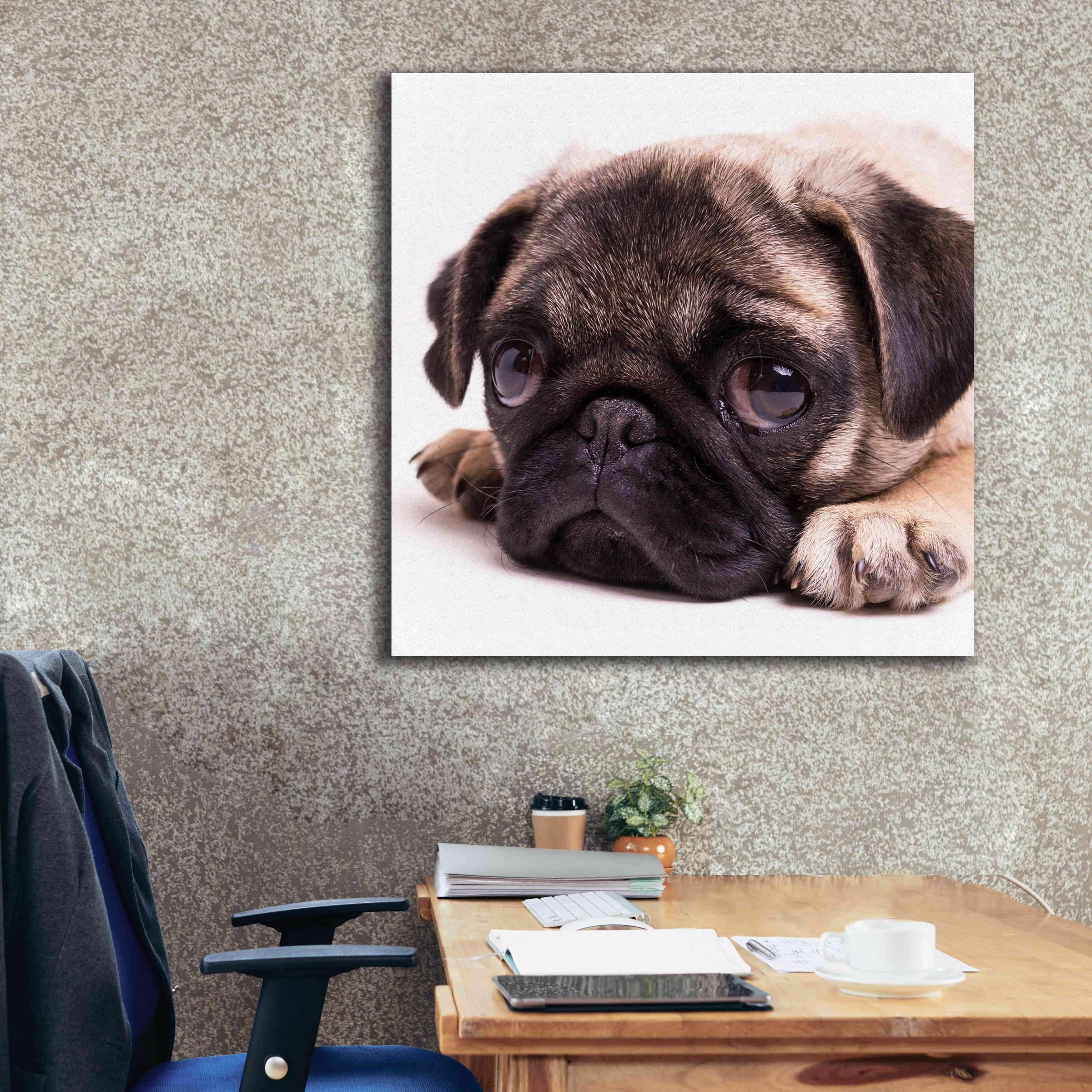 'Sad Sack Pug' by Edward M. Fielding, Giclee Canvas Wall Art,37x37