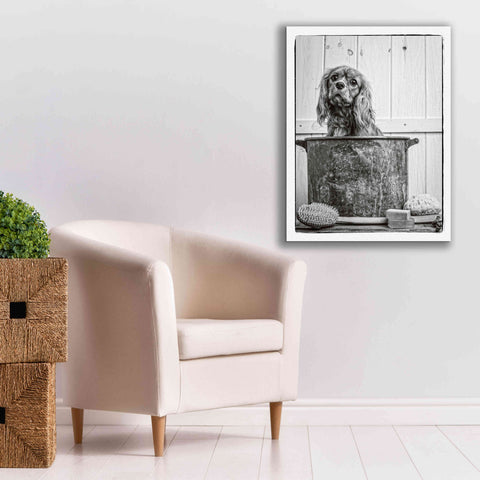 Image of 'Vintage Puppy Bath' by Edward M. Fielding, Giclee Canvas Wall Art,26x34