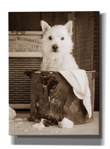 Image of 'Vintage Wash Day' by Edward M. Fielding, Giclee Canvas Wall Art