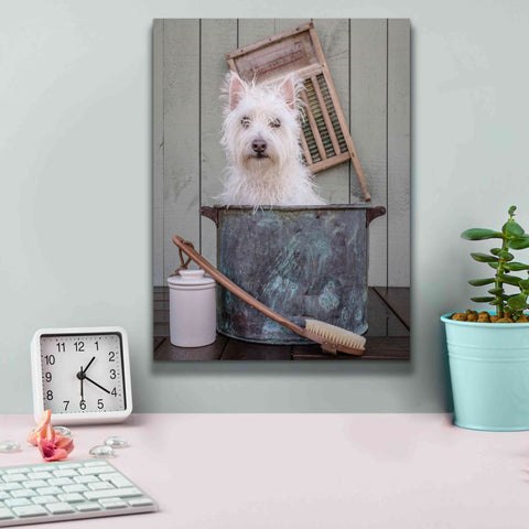 Image of 'Washing the Dog' by Edward M. Fielding, Giclee Canvas Wall Art,12x16
