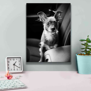 'We Goin’ for a Ride' by Edward M. Fielding, Giclee Canvas Wall Art,12x16