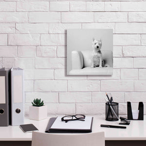 'White on White' by Edward M. Fielding, Giclee Canvas Wall Art,12x12