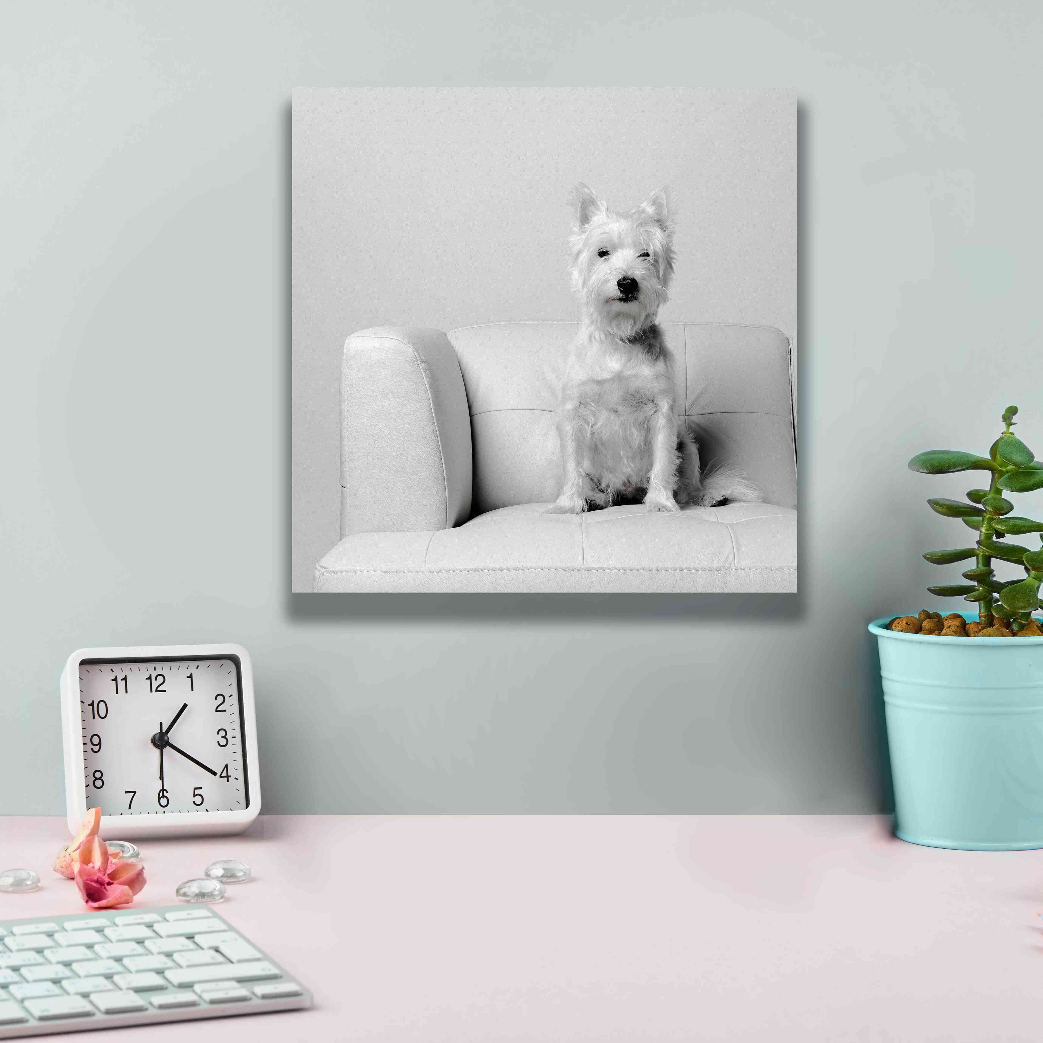 'White on White' by Edward M. Fielding, Giclee Canvas Wall Art,12x12