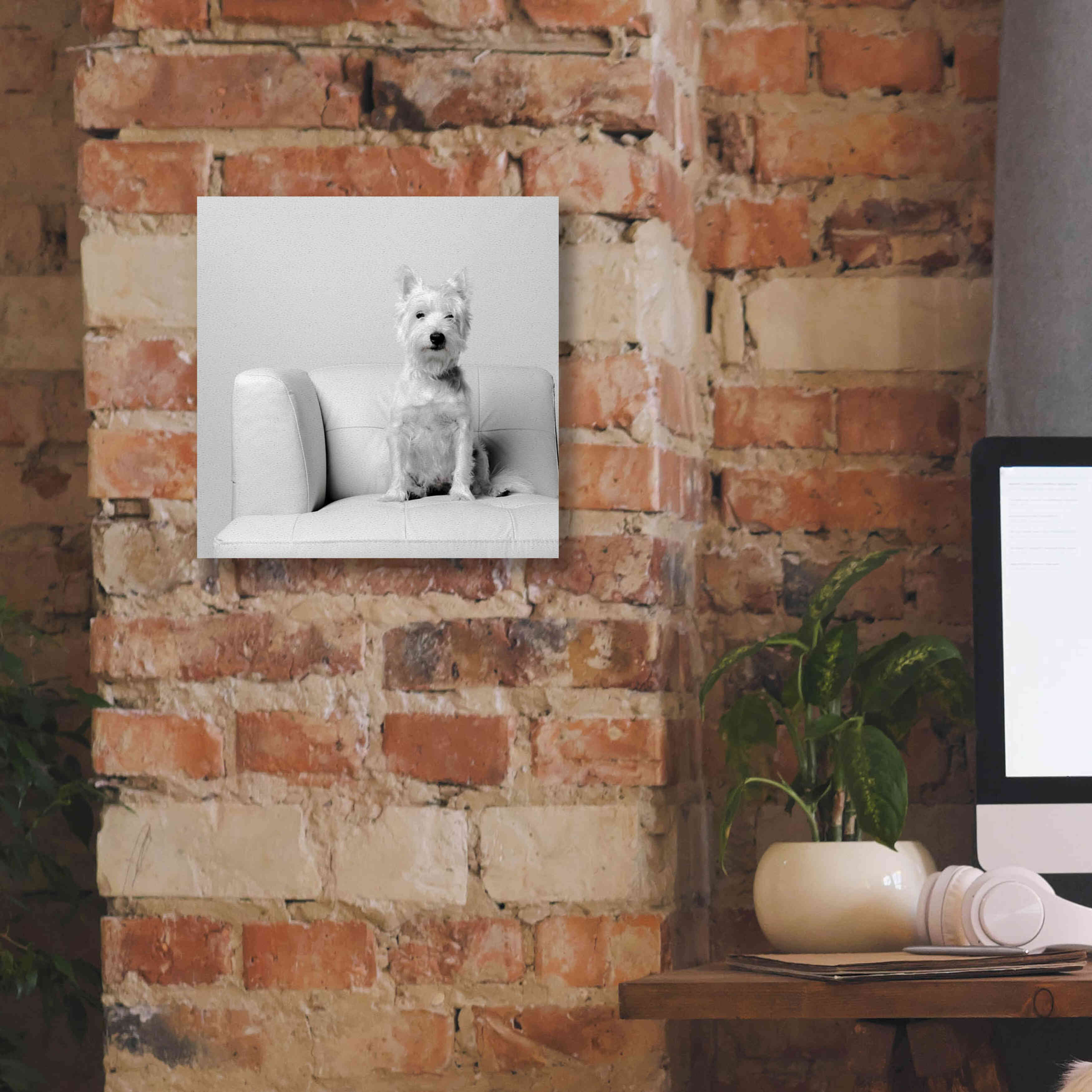 'White on White' by Edward M. Fielding, Giclee Canvas Wall Art,12x12