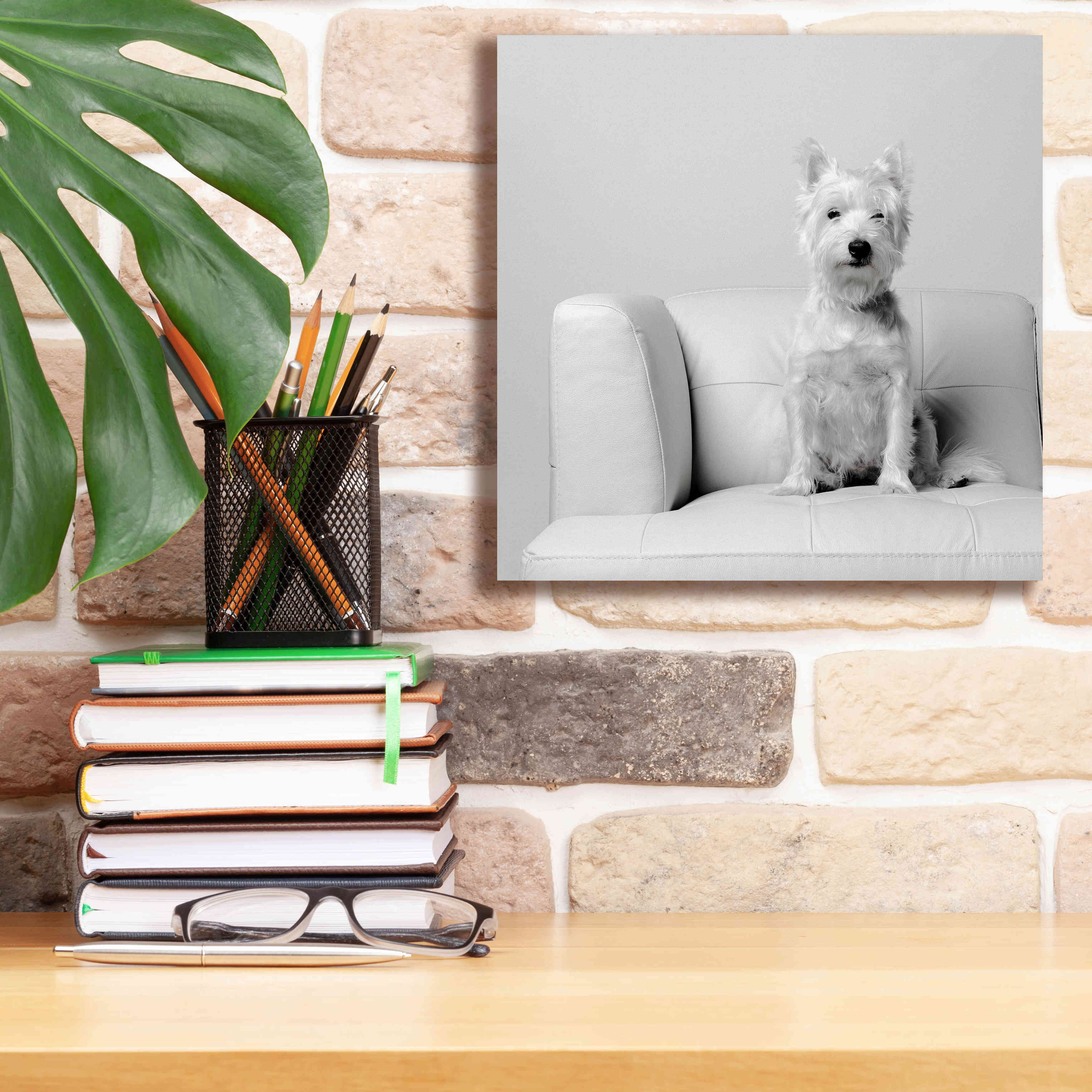 'White on White' by Edward M. Fielding, Giclee Canvas Wall Art,12x12