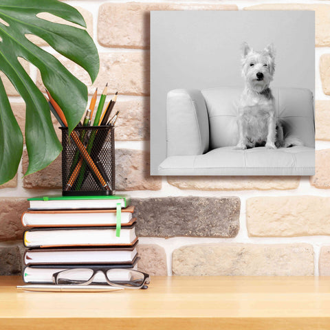 Image of 'White on White' by Edward M. Fielding, Giclee Canvas Wall Art,12x12