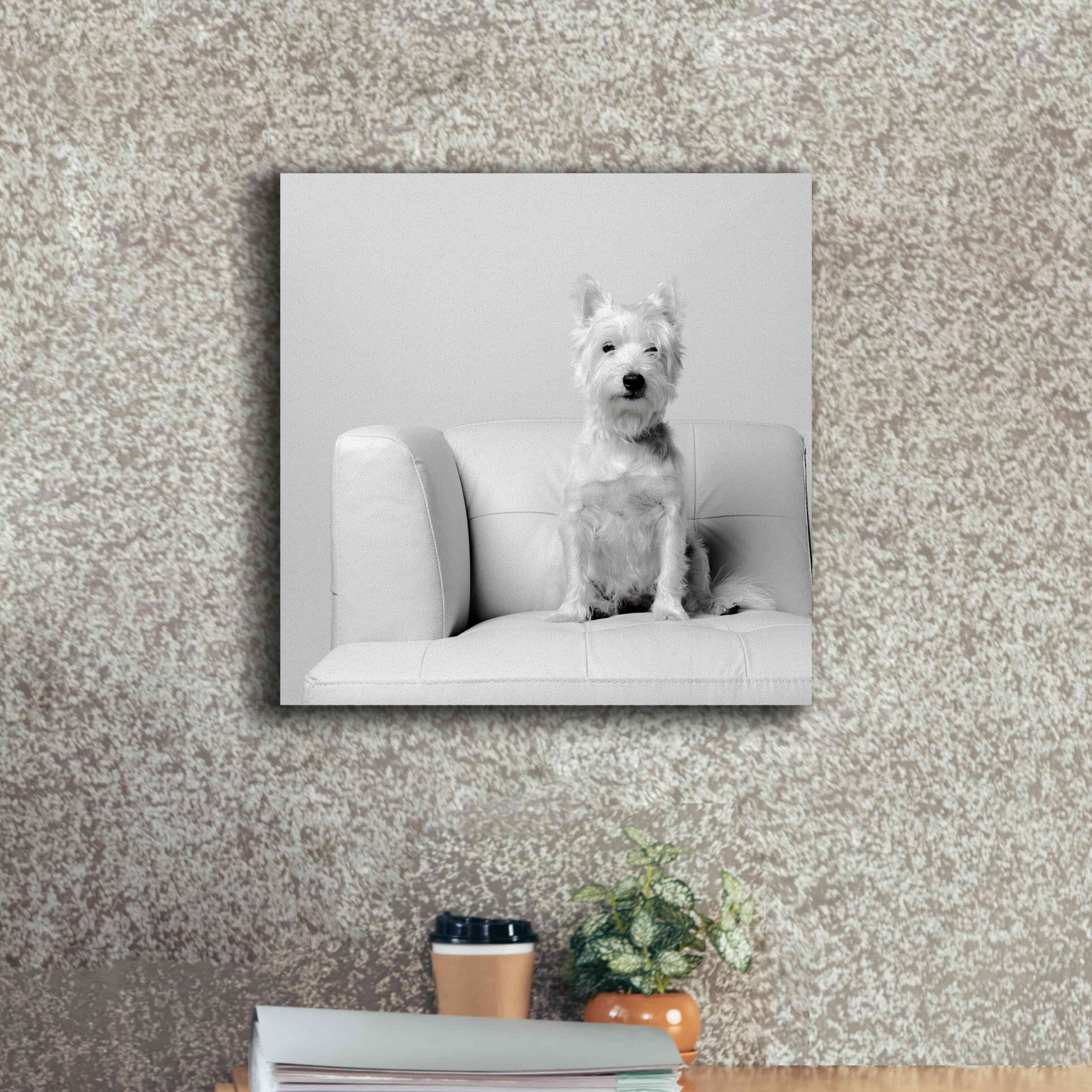 'White on White' by Edward M. Fielding, Giclee Canvas Wall Art,18x18