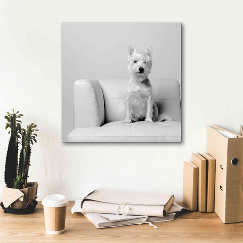 Image of 'White on White' by Edward M. Fielding, Giclee Canvas Wall Art,18x18